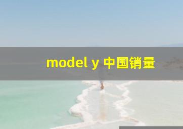 model y 中国销量